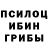 Галлюциногенные грибы мицелий Vladimir Kaznachevskii