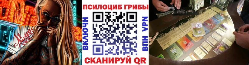 Псилоцибиновые грибы Cubensis  blacksprut ONION  Избербаш 